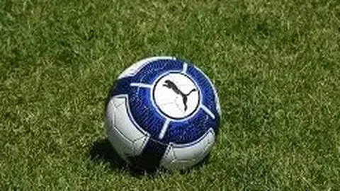 巴西UFC选手临战新冠检测呈阳，官方宣布赛事如期进行