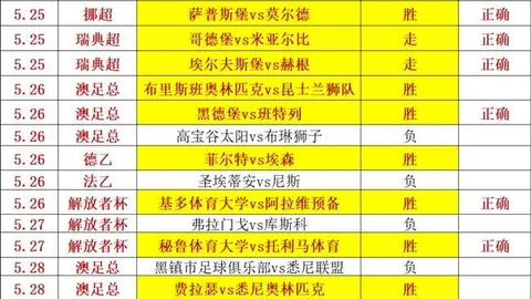 2026足球盛宴米兰体育娱乐：加拿大与波黑交锋前瞻，无交锋背后的战略布局